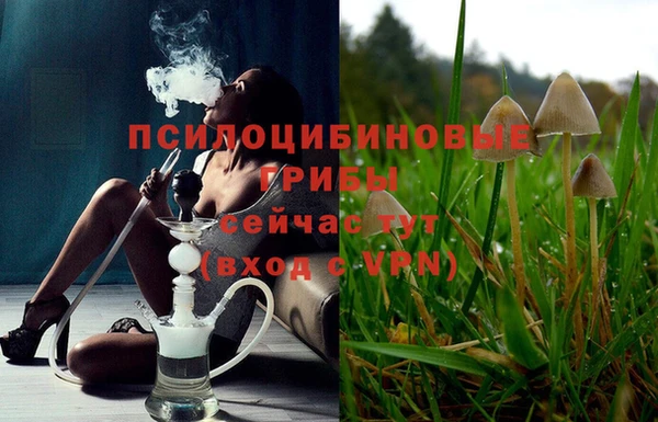гидра Алексеевка