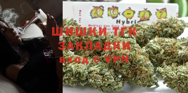гидра Алексеевка
