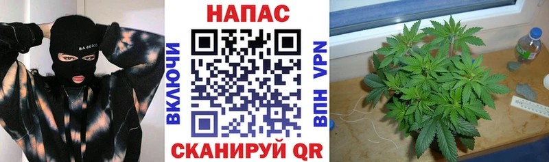 Бошки марихуана THC 21%  Мантурово 